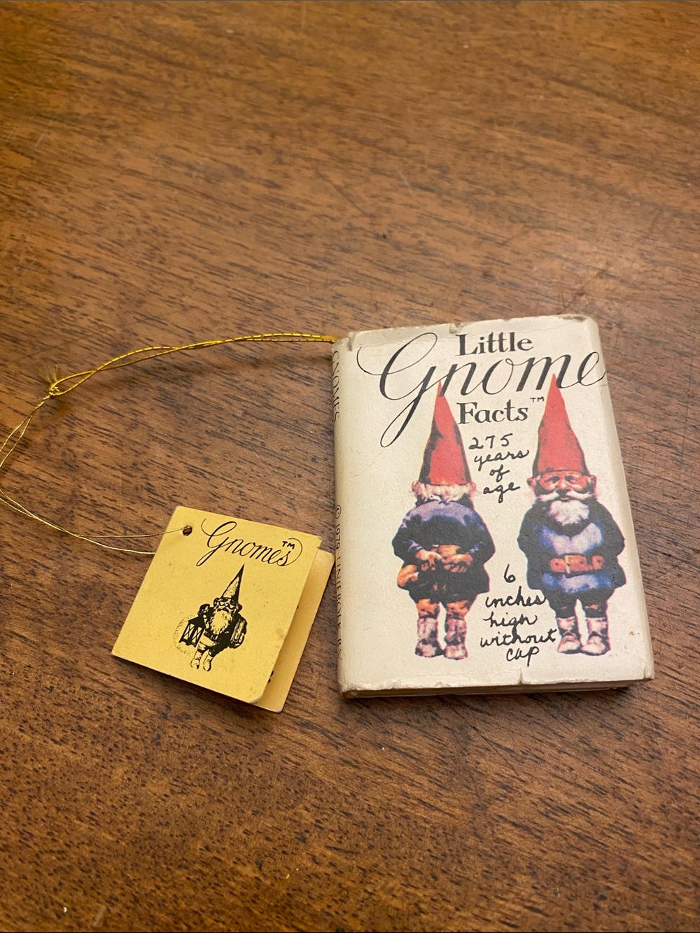 Vintage “Little Gnome Facts” Book Ornament with Tag